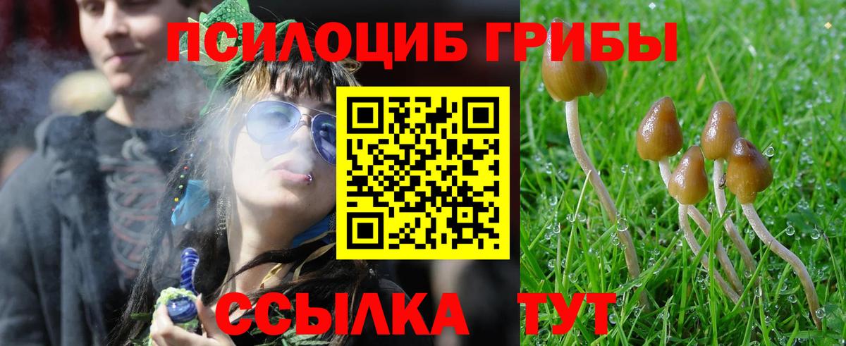 Псилоцибиновые грибы Magic Shrooms Красногорск