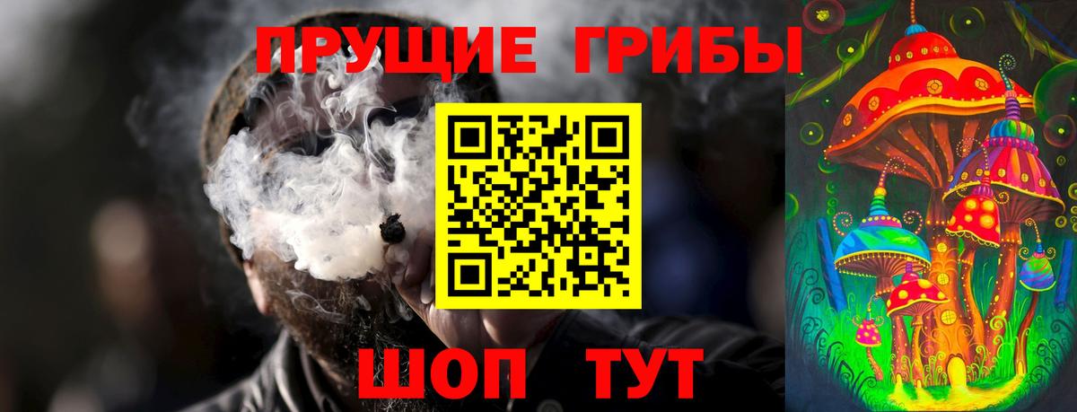 Галлюциногенные грибы MAGIC MUSHROOMS  Вход с VPN  Красногорск 